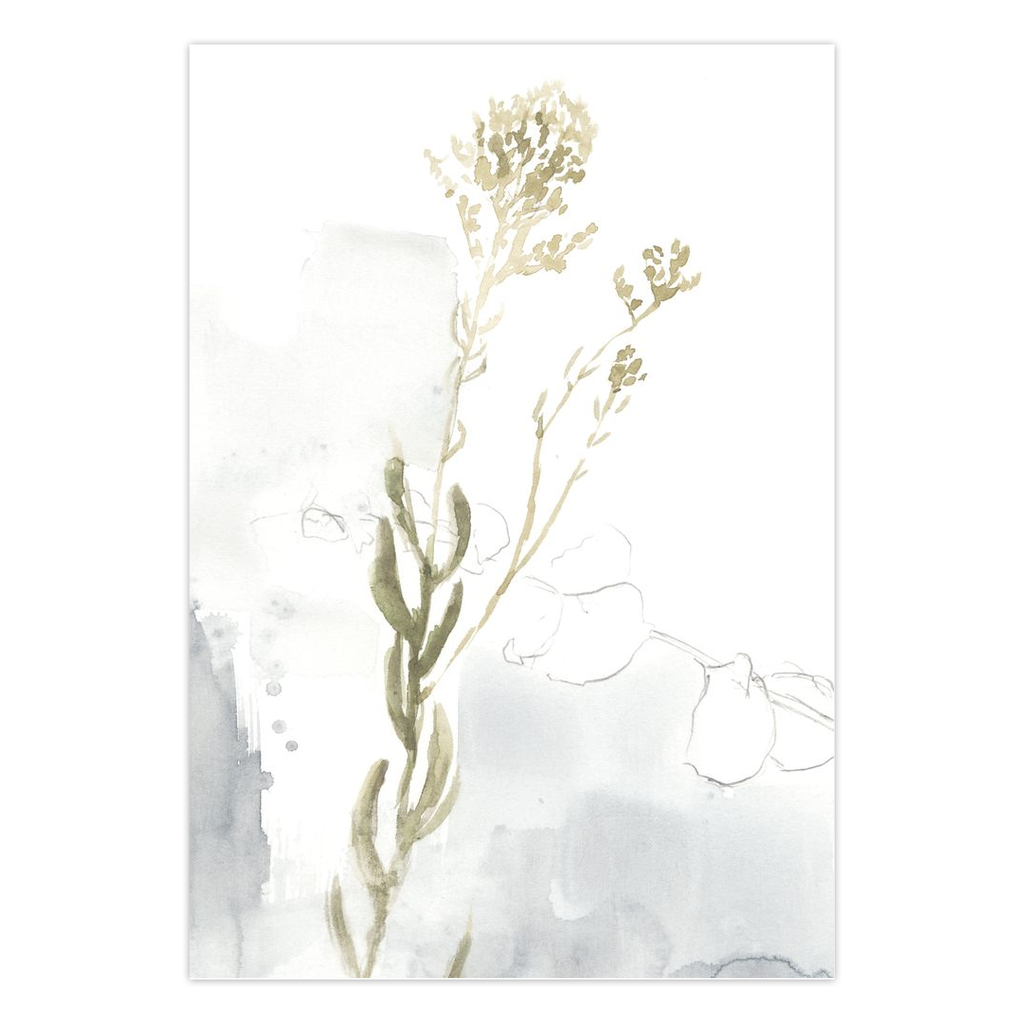 Eucalyptus Breath Blank Card Sets