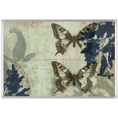 Butterfly Reverie II