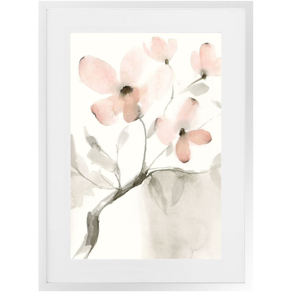 Dogwood Dream II