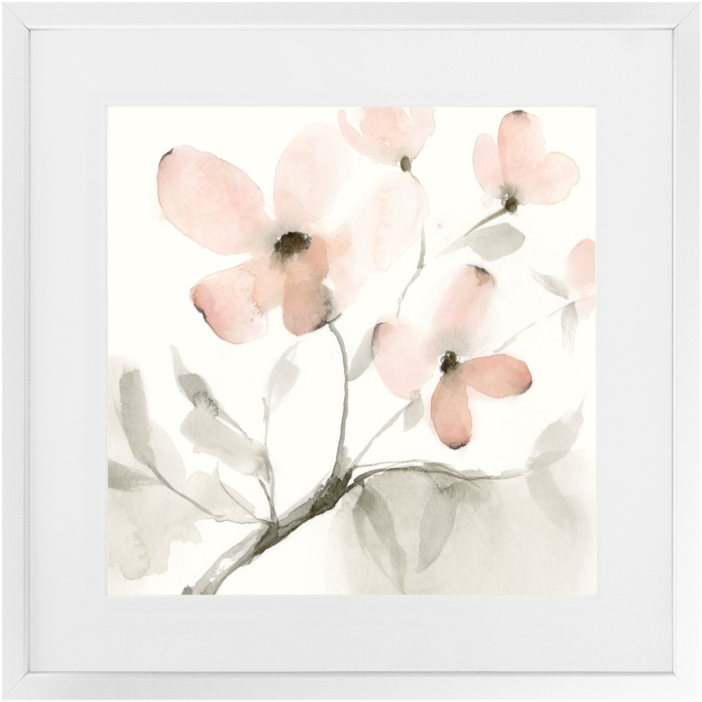 Dogwood Dream II