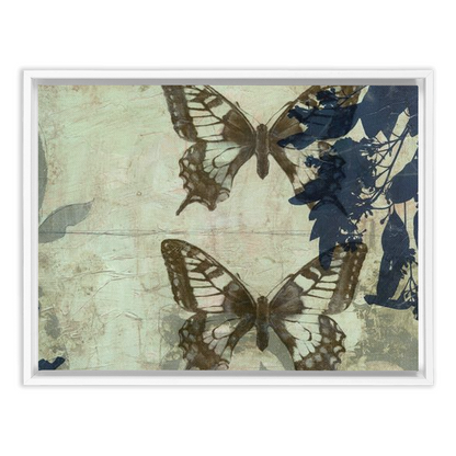 Butterfly Reverie II