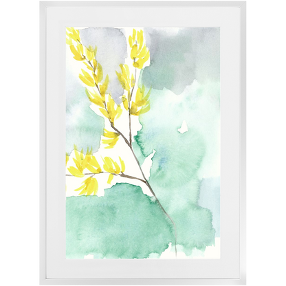 Favorite Forsythia II