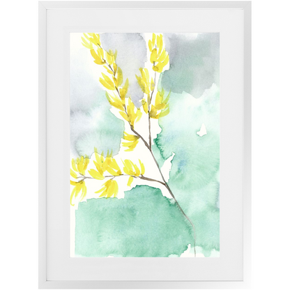 Favorite Forsythia II