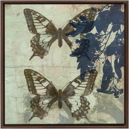 Butterfly Reverie II