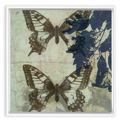 Butterfly Reverie II