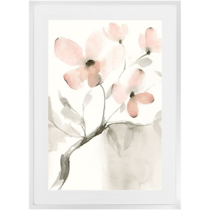 Dogwood Dream II