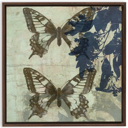 Butterfly Reverie II