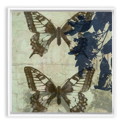 Butterfly Reverie II