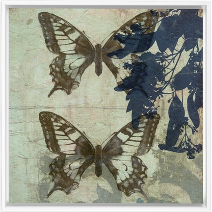 Butterfly Reverie II