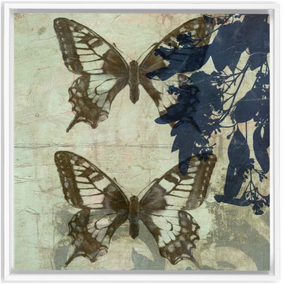 Butterfly Reverie II