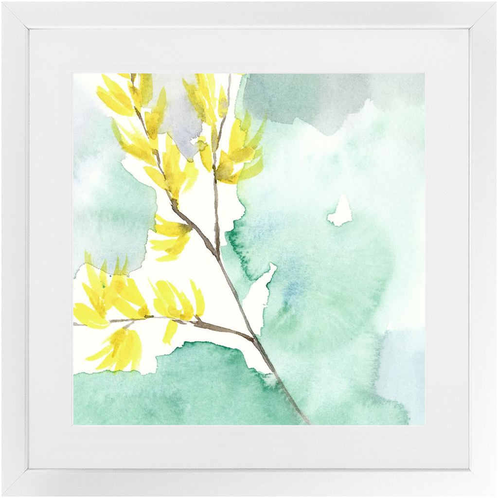 Favorite Forsythia II