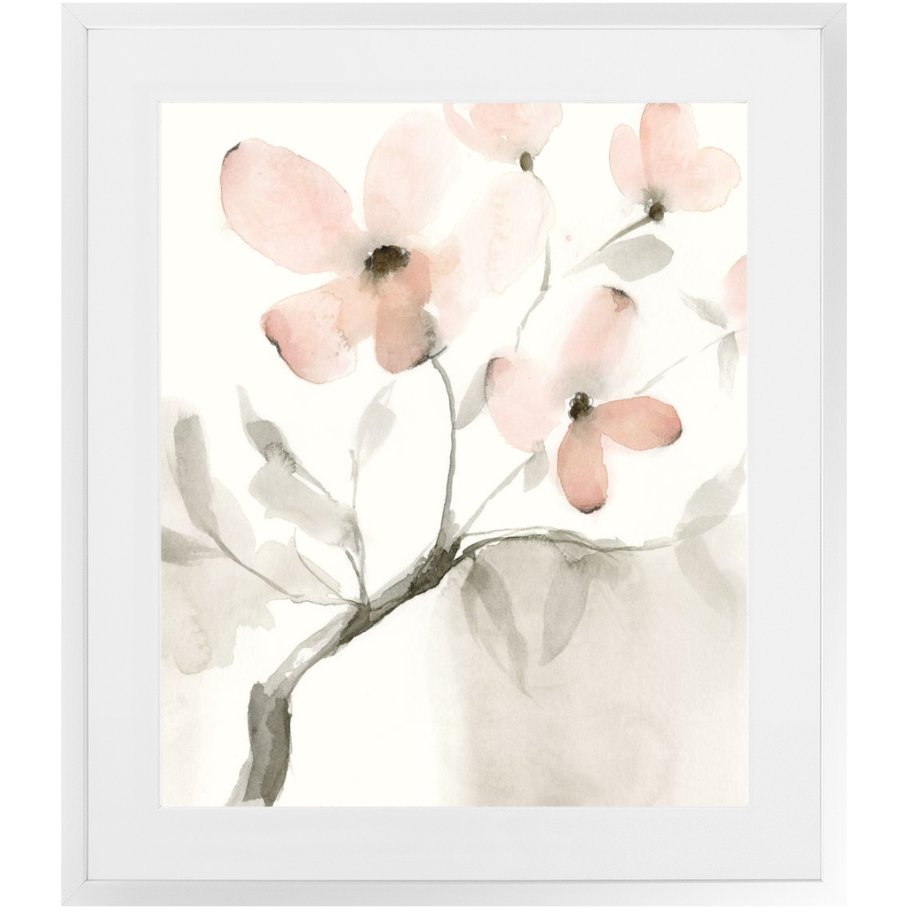 Dogwood Dream II