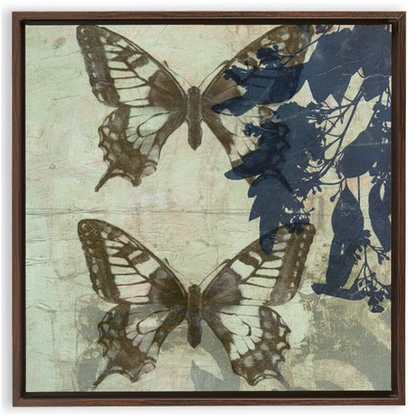 Butterfly Reverie II