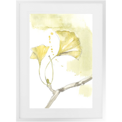 Gingko Triptych III