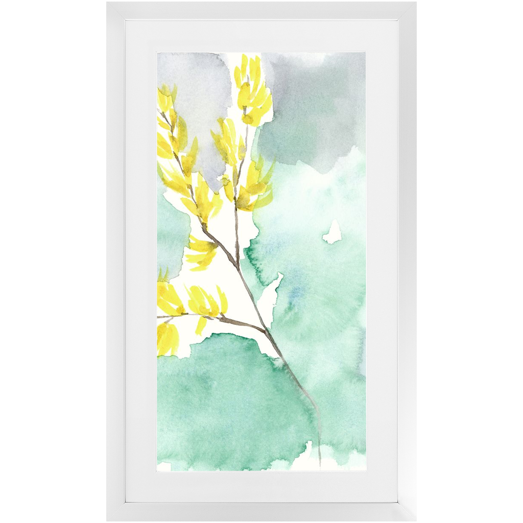 Favorite Forsythia II