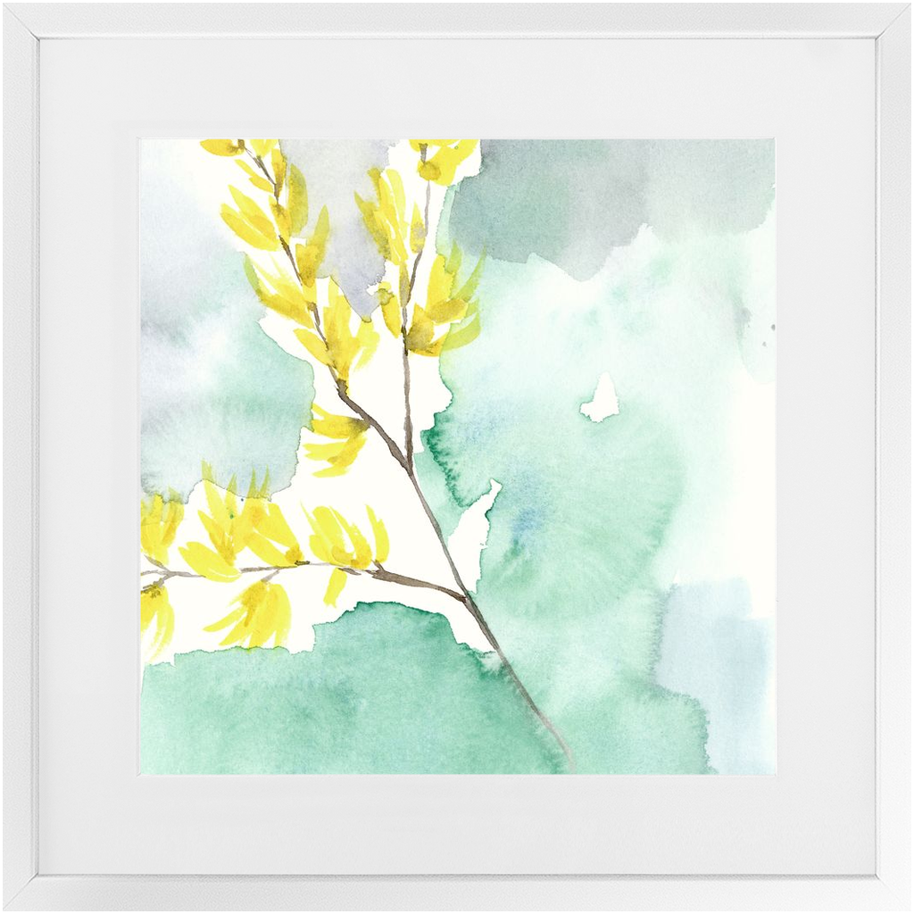 Favorite Forsythia II