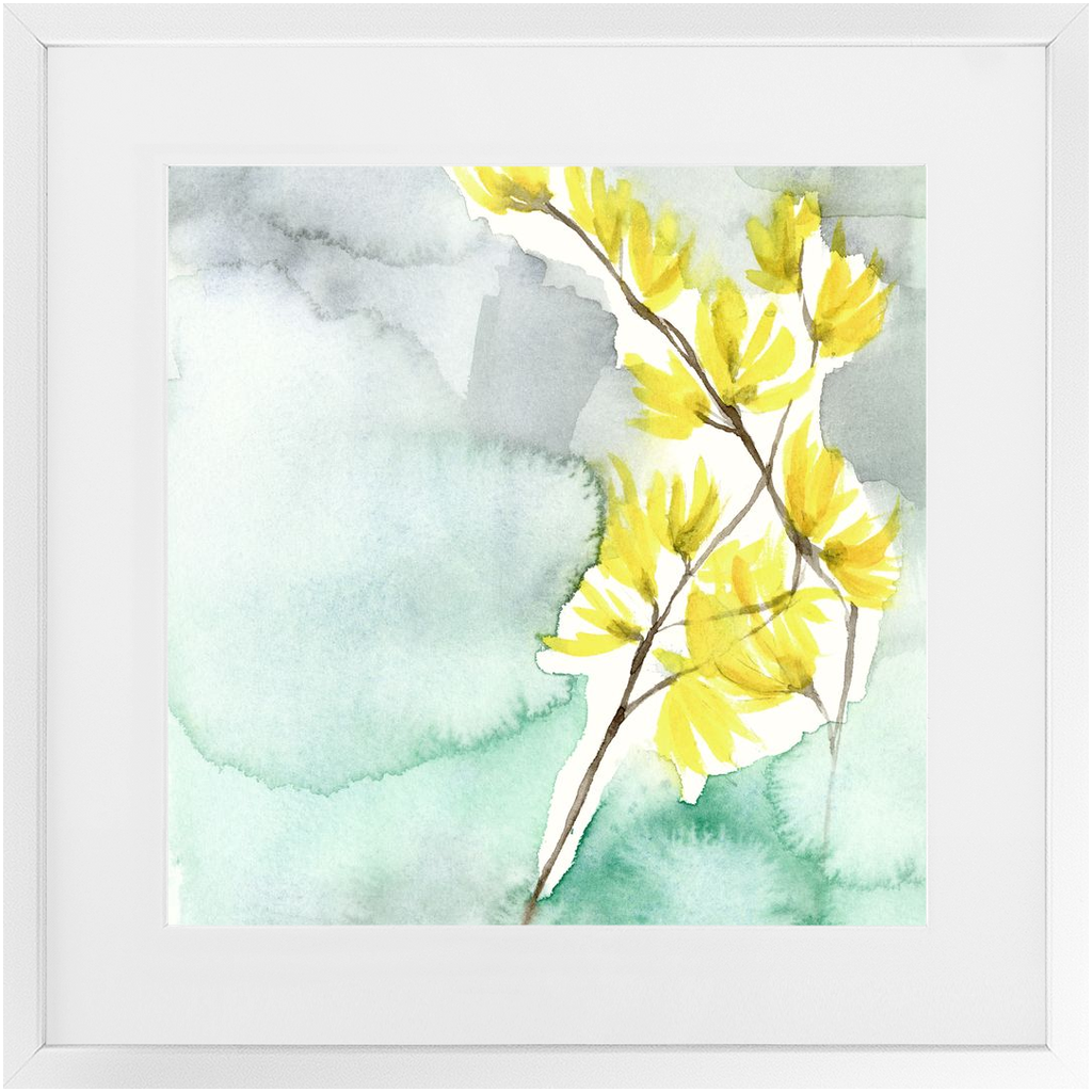 Favorite Forsythia I