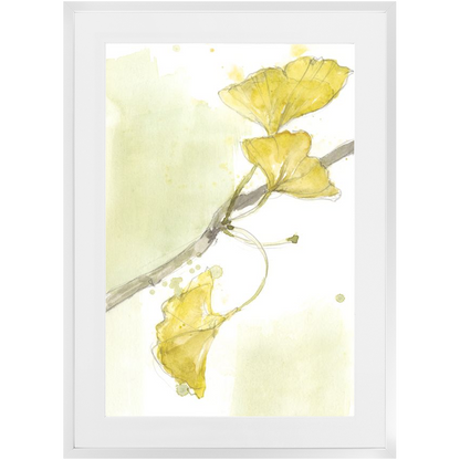 Gingko Triptych II