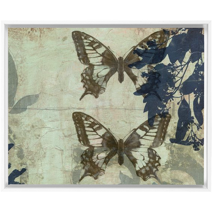 Butterfly Reverie II