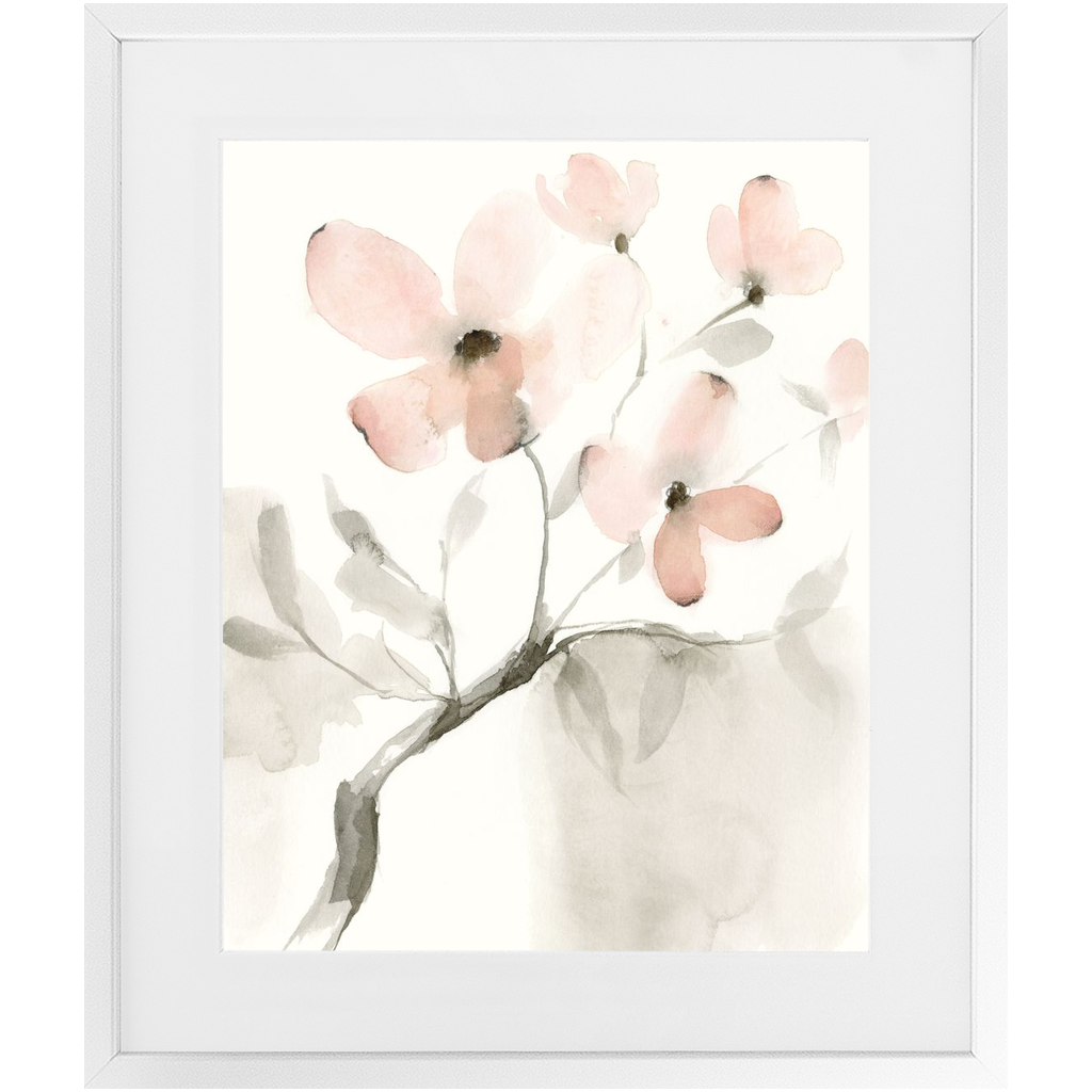 Dogwood Dream II