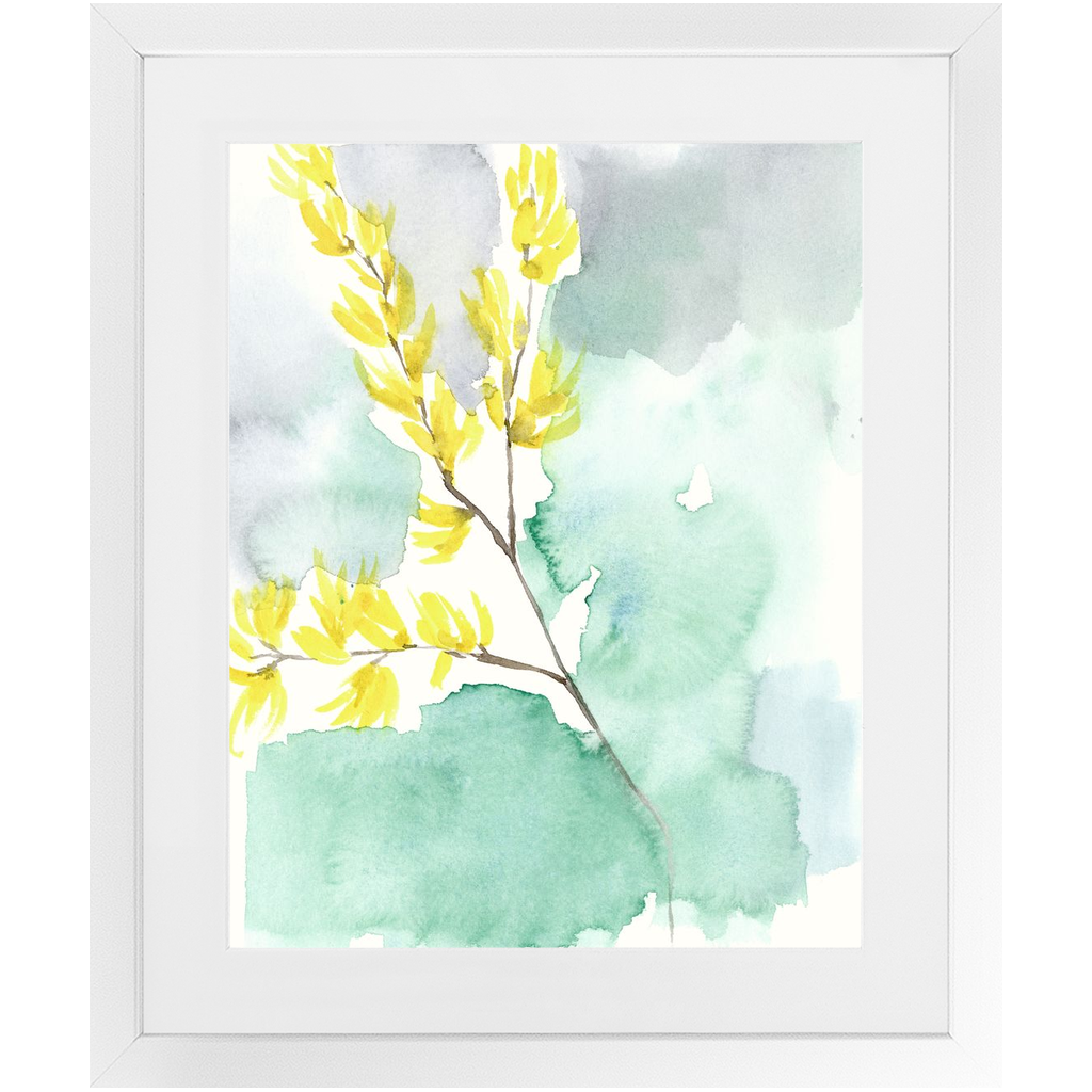 Favorite Forsythia II