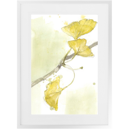 Gingko Triptych II