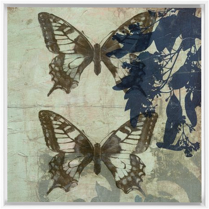 Butterfly Reverie II