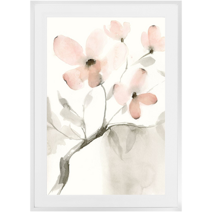 Dogwood Dream II